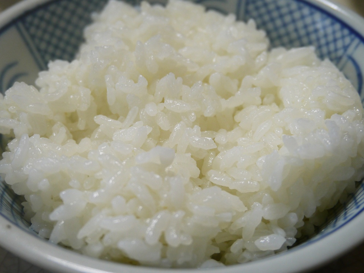 rice probiotic
