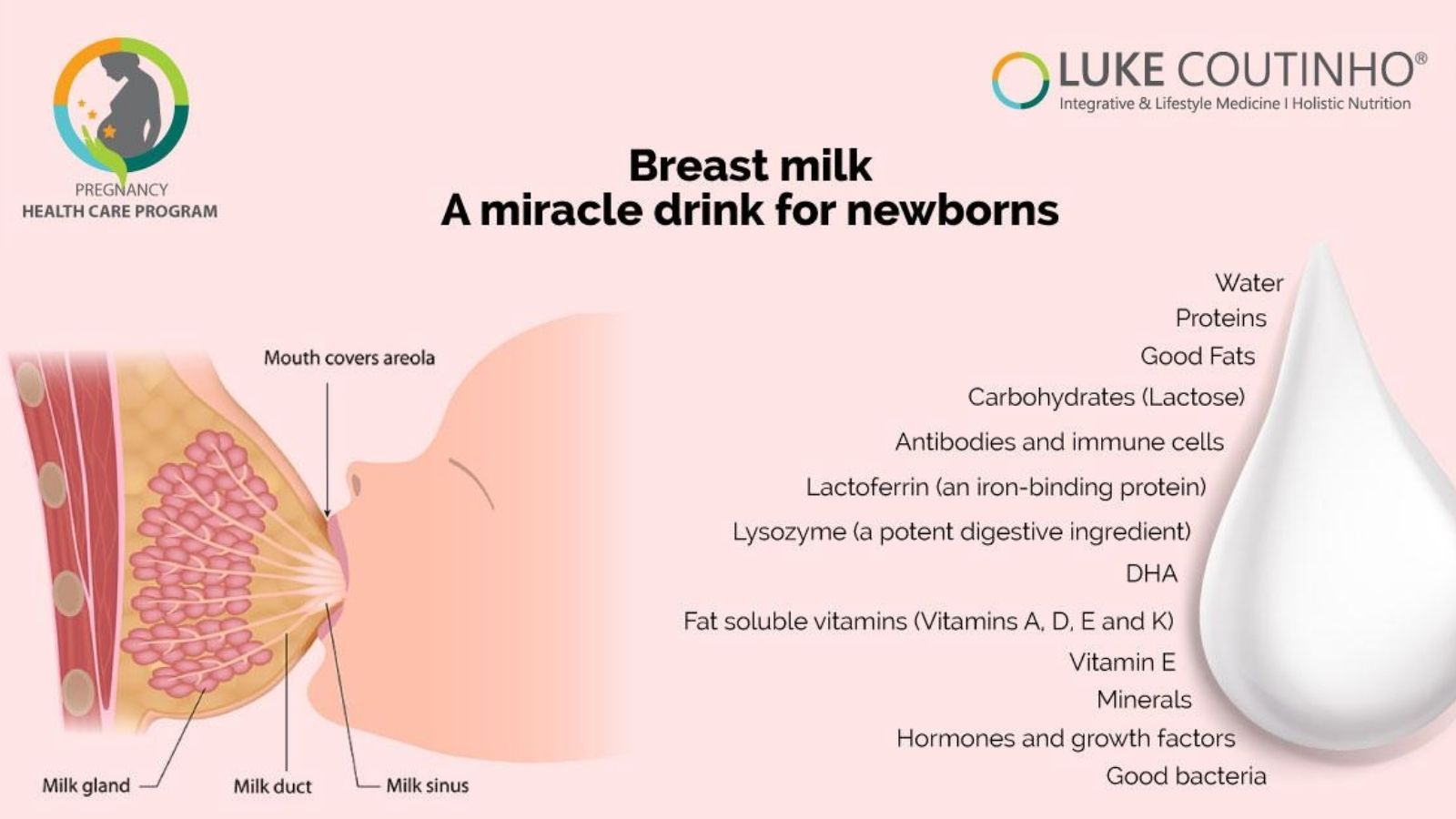 Mother's Milk Decoded