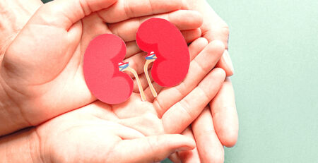 kidney-disease-myths
