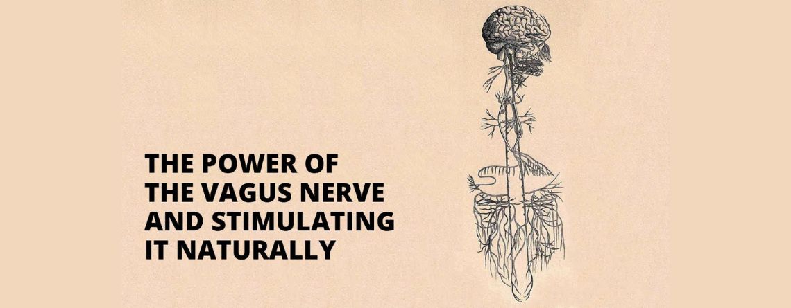 how to stimulate the vagus nerve