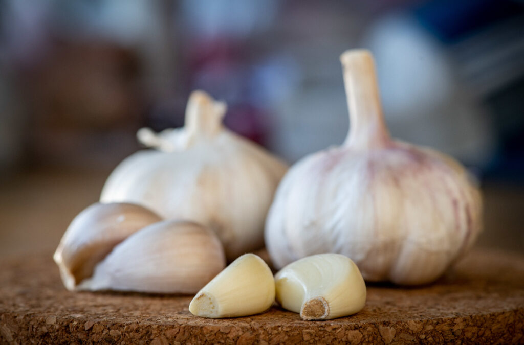 Spices - Garlic