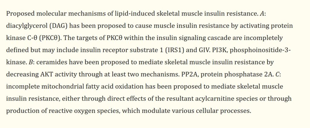 NCBI Oxygen-insulin resistance citation